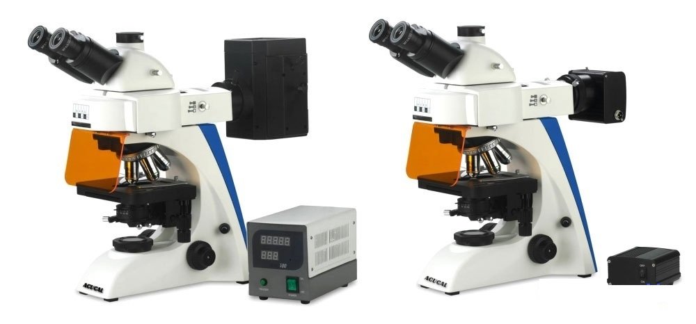 Product View